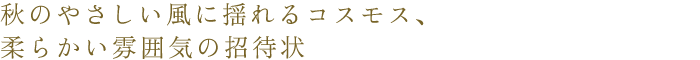 秋のやさしい風に揺れるコスモス、柔らかい雰囲気の招待状