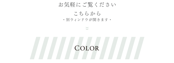 〈color〉のホームページへ