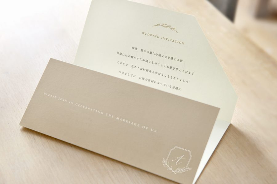 pic_inv-white_l02 pic_inv-white_l02